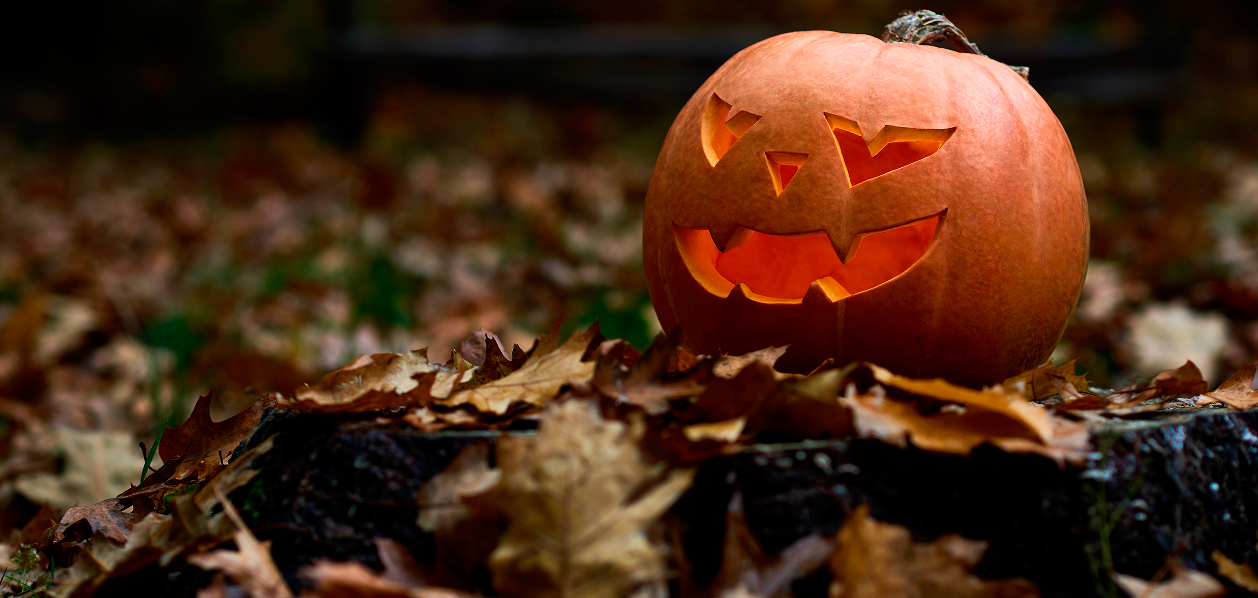 COMEÇOU O HALLOWEEN NO ESTADOS UNIDOS